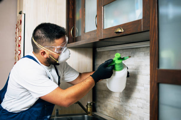 Best Best Pest Control Companies  in Eastman, GA