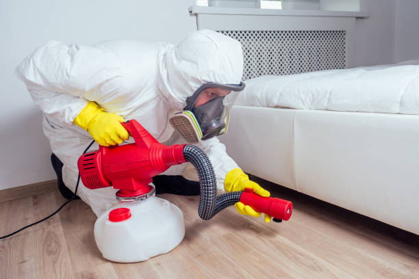 Best Local Pest Control Services  in Eastman, GA