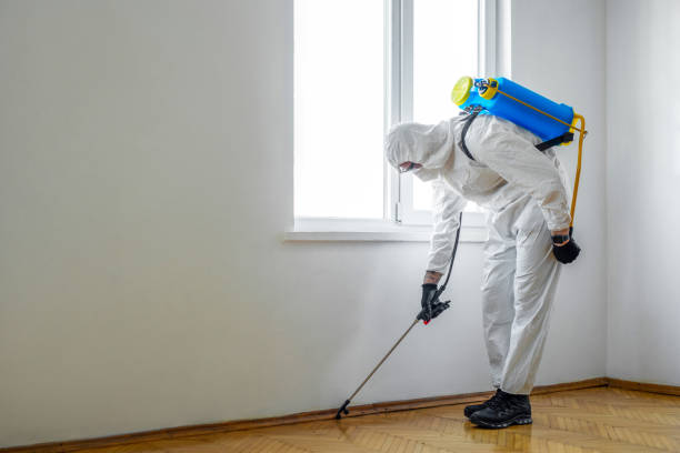 Best Cockroach Control Services  in Eastman, GA