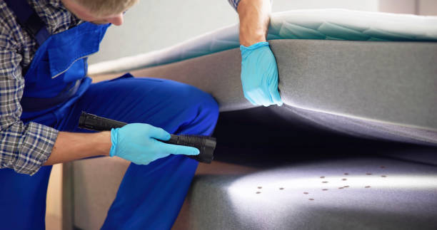 Best Affordable Pest Control Services  in Eastman, GA