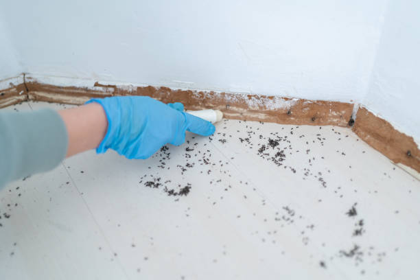 Eastman, GA Pest Control Company