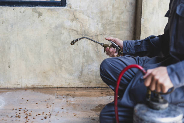 Best Pest Control Near Me  in Eastman, GA